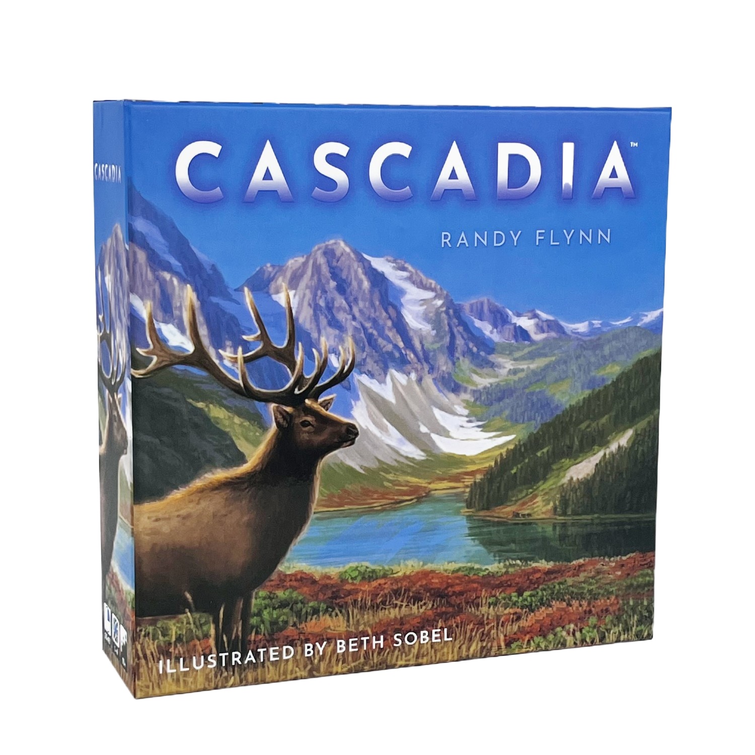 1-4 Players Cascadia Boardgame - Board Game Fun 리뷰 및 가격