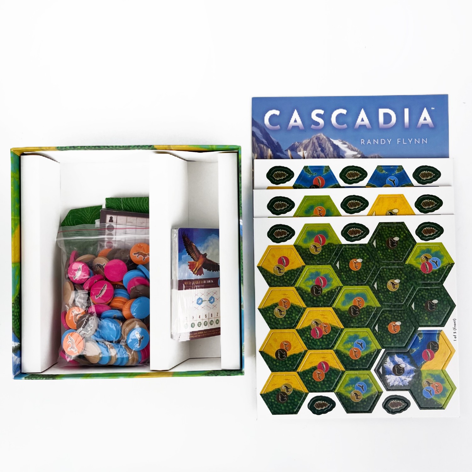 1-4 Players Cascadia Boardgame - Board Game Fun 리뷰 및 가격