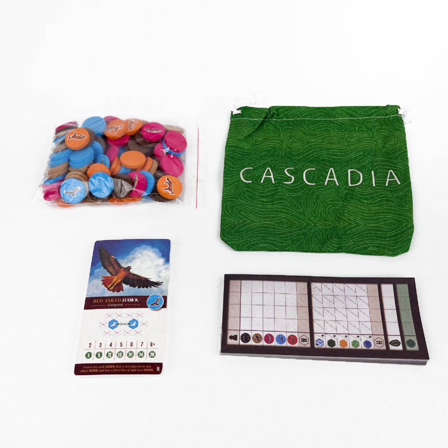 1-4 Players Cascadia Boardgame - Board Game Fun 리뷰 및 가격